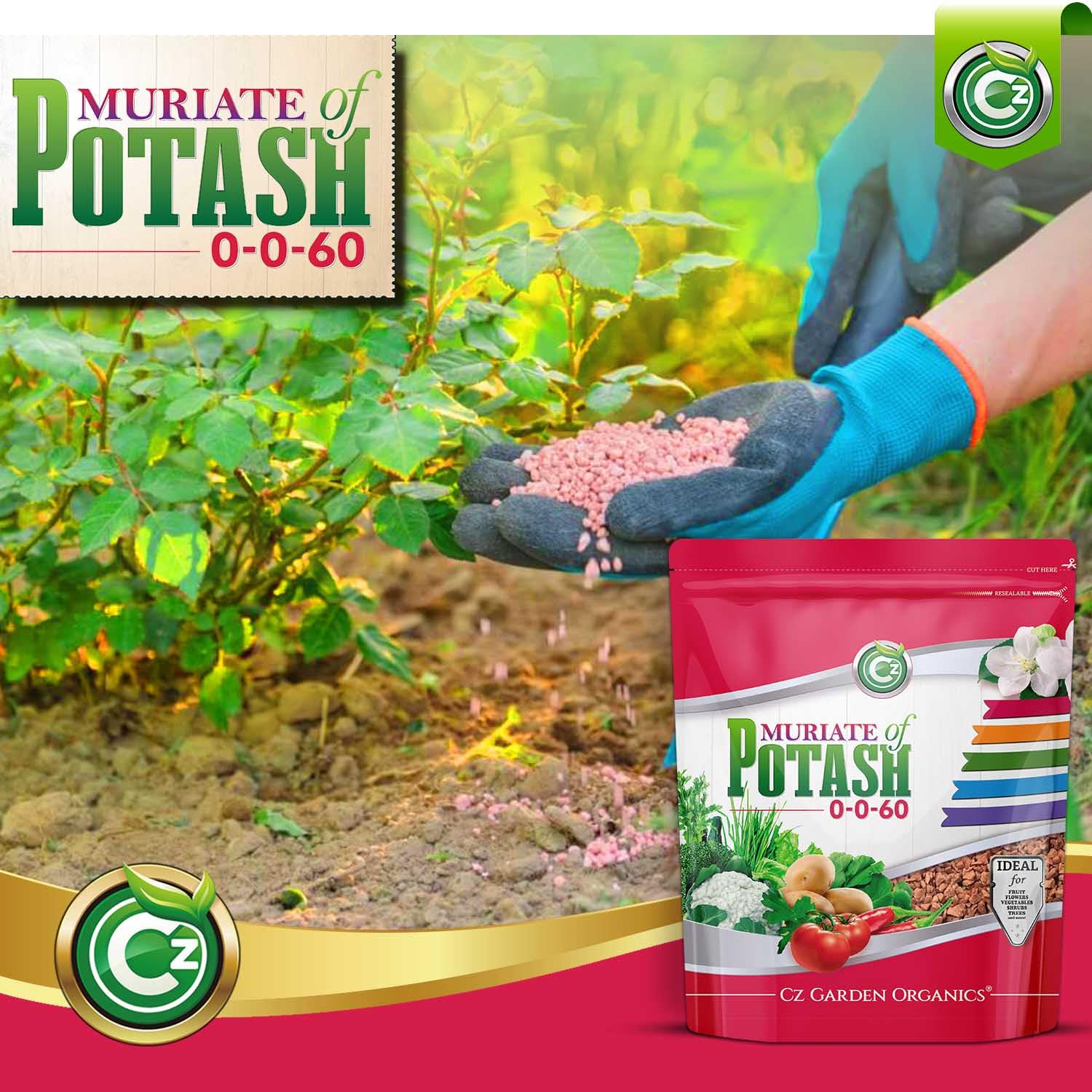 Cz Garden aplicado a maceta plantas interiores mayor vigor
