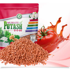 Cz Garden polvo granular textura y pureza fácil disolución