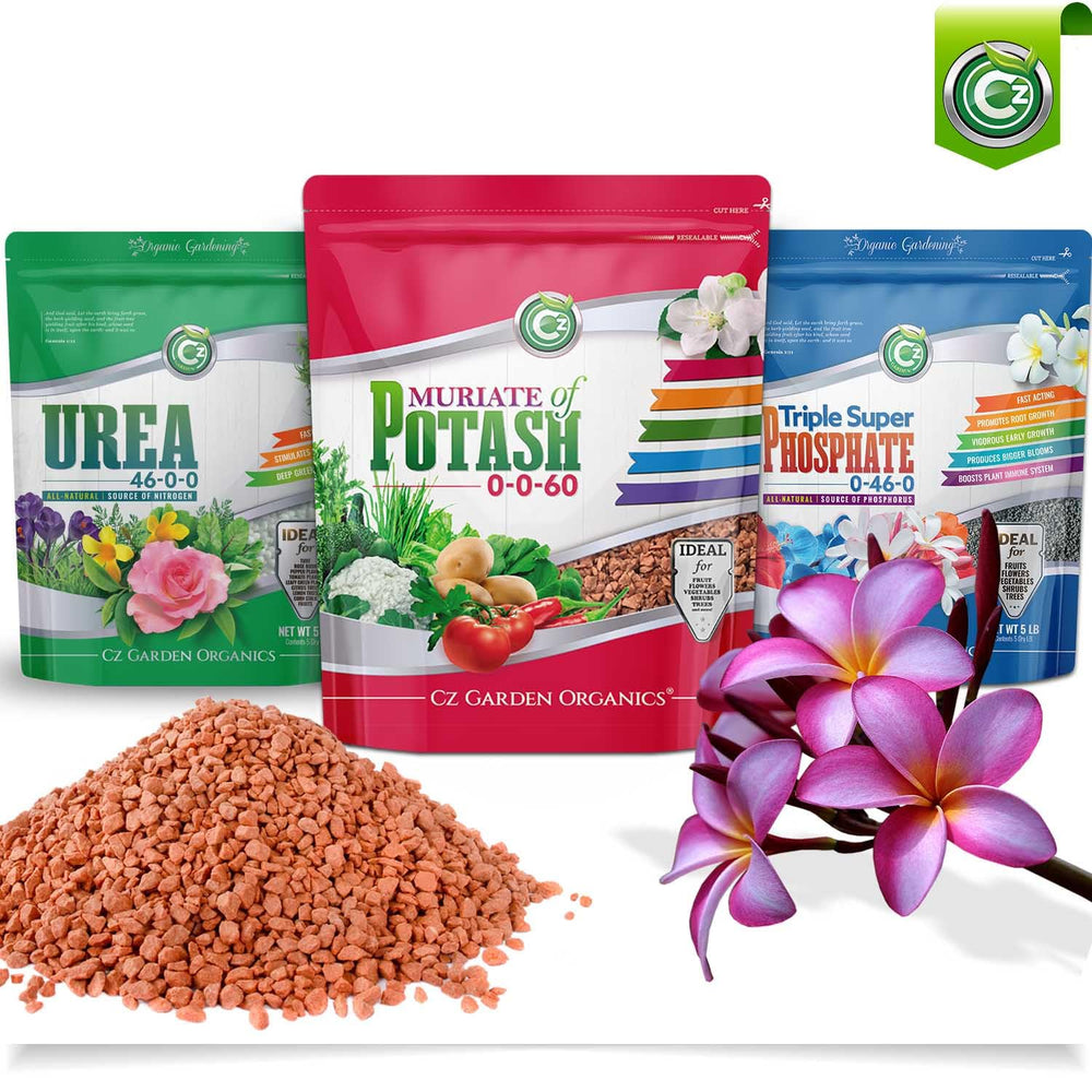 Cz Garden vertiendo fertilizante por cucharón dosificación controlada
