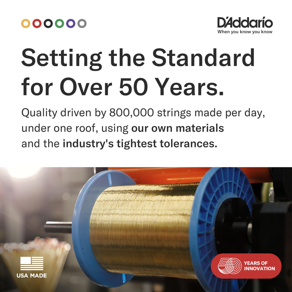 D'Addario bolsa VCI con código para Players Circle y protección anticorrosión