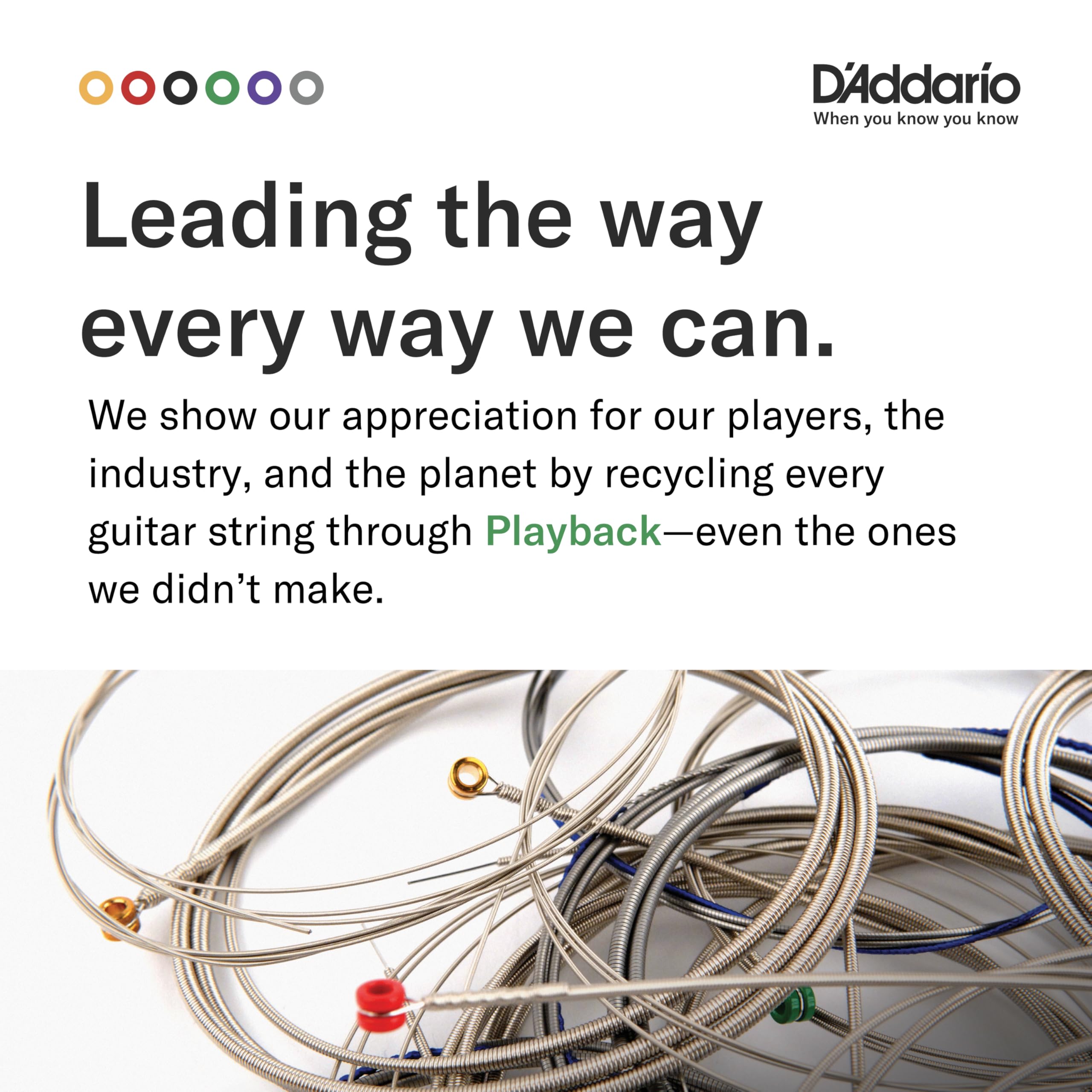 D'Addario cuerdas en entorno de estudio mostrando uso profesional seguro