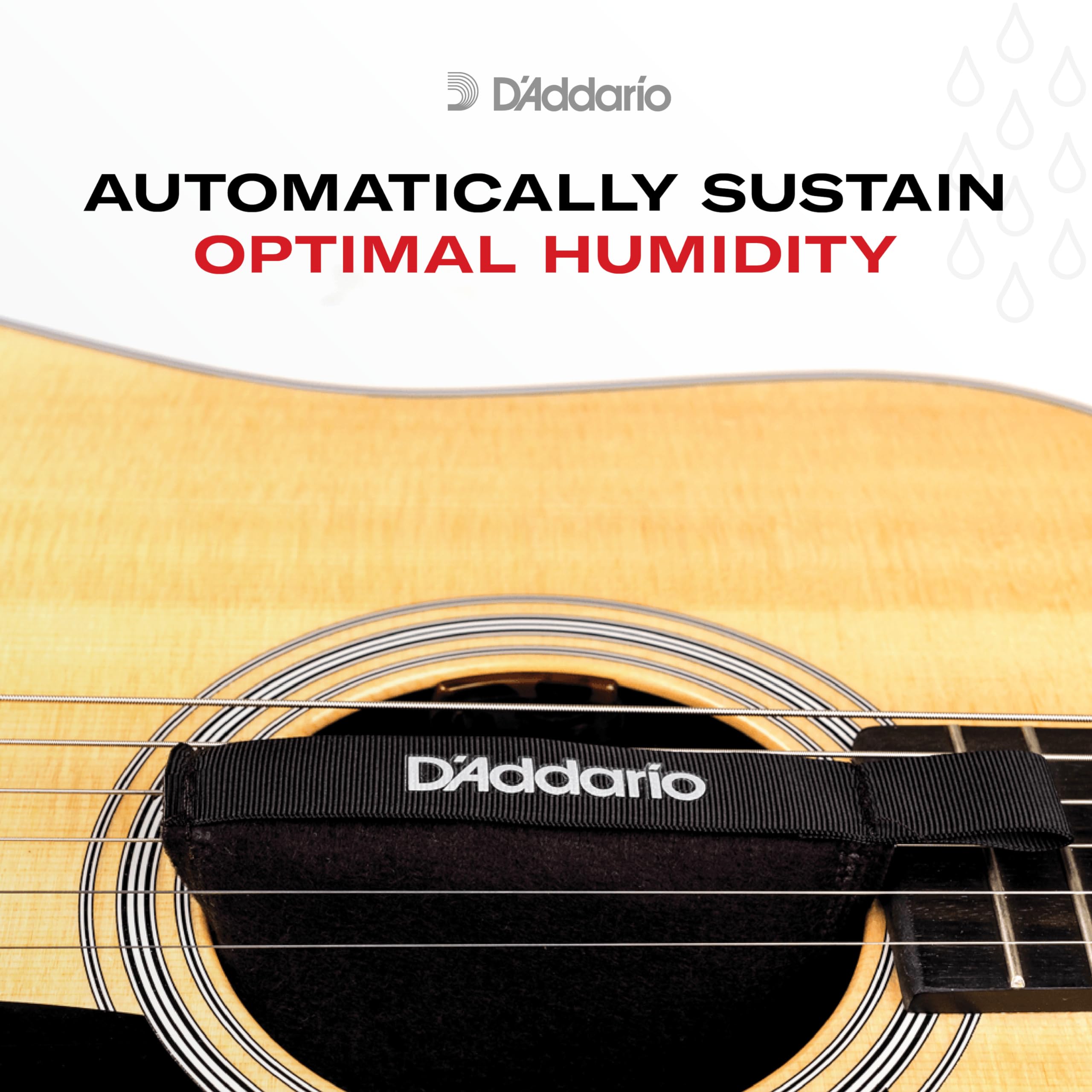 D'Addario Humidipak colocado dentro de estuche para mantener humedad