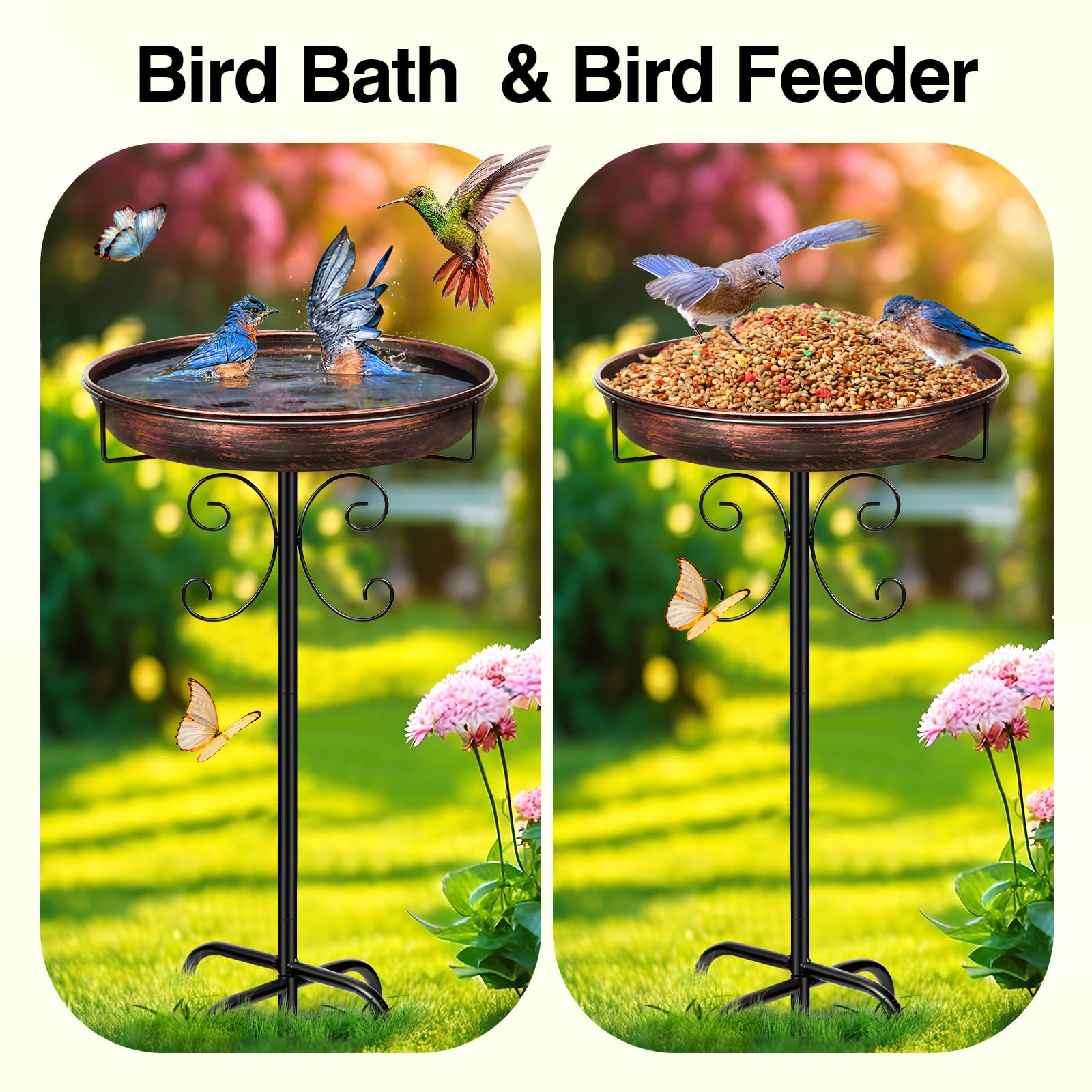 Daoeny aves usando la bañera mostrando su atractivo para la fauna