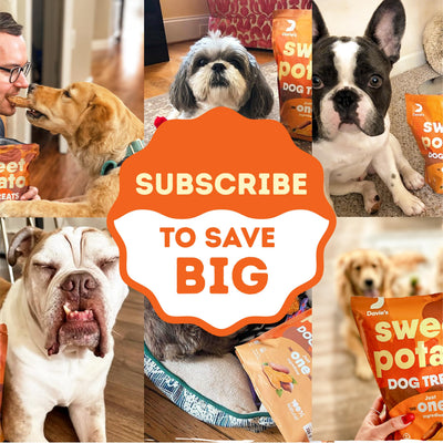 Davie's Naturals escenario doméstico con perro y premios, ideal para uso diario