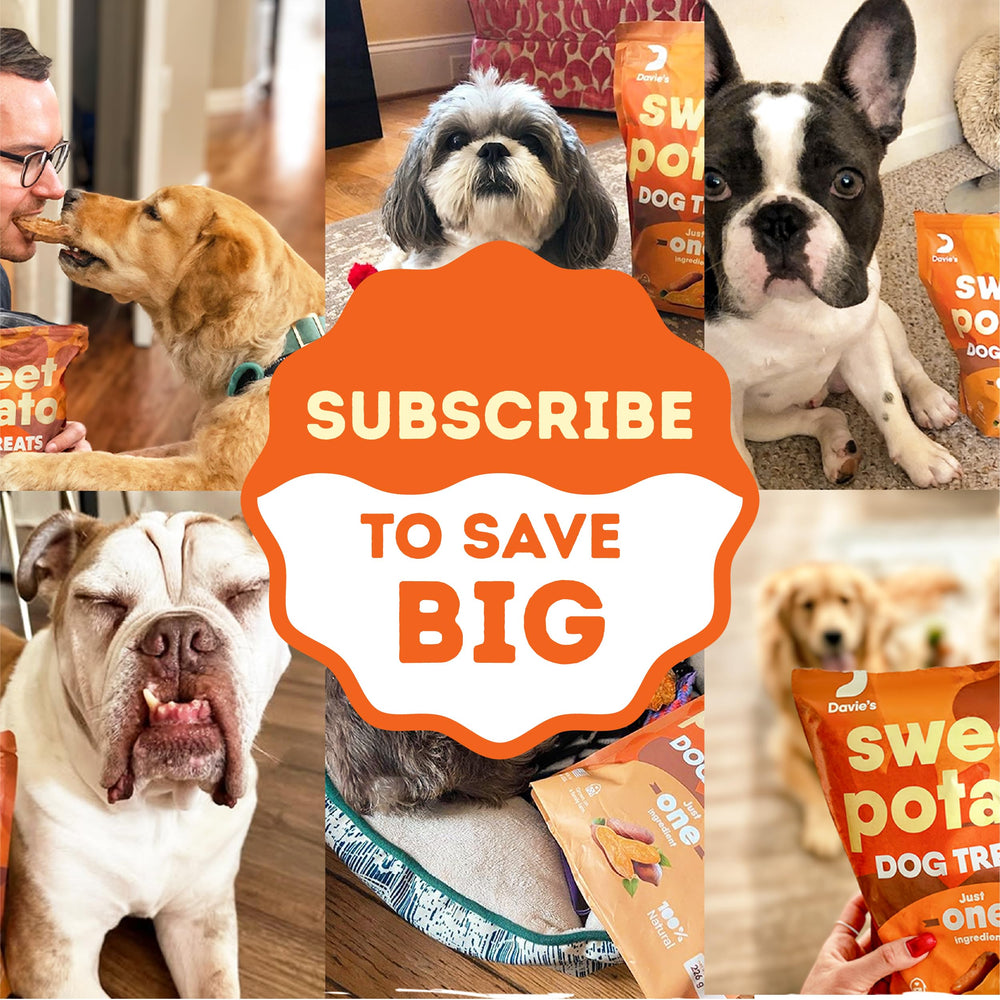 Davie's Naturals escenario doméstico con perro y premios, ideal para uso diario