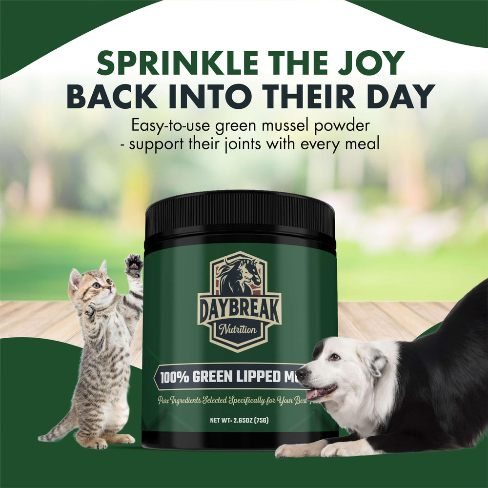 Daybreak Nutrition color natural del polvo que indica frescura