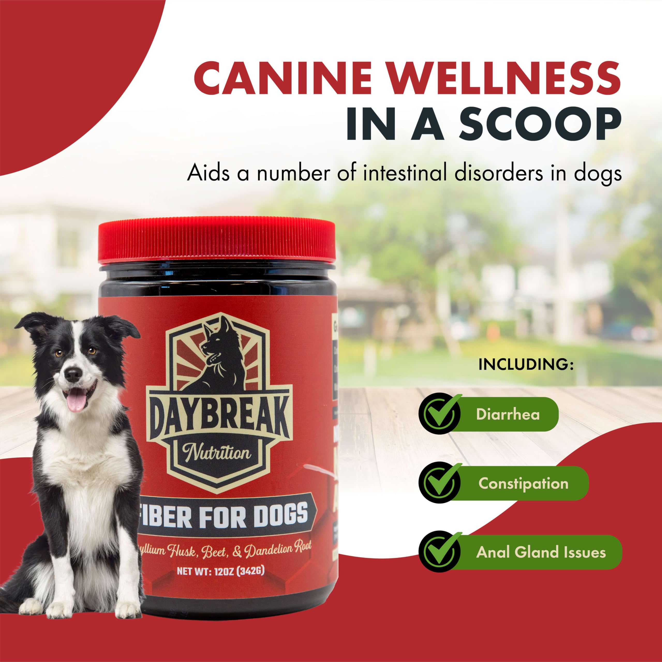 Daybreak Nutrition perro comiendo en cocina, promoviendo salud digestiva