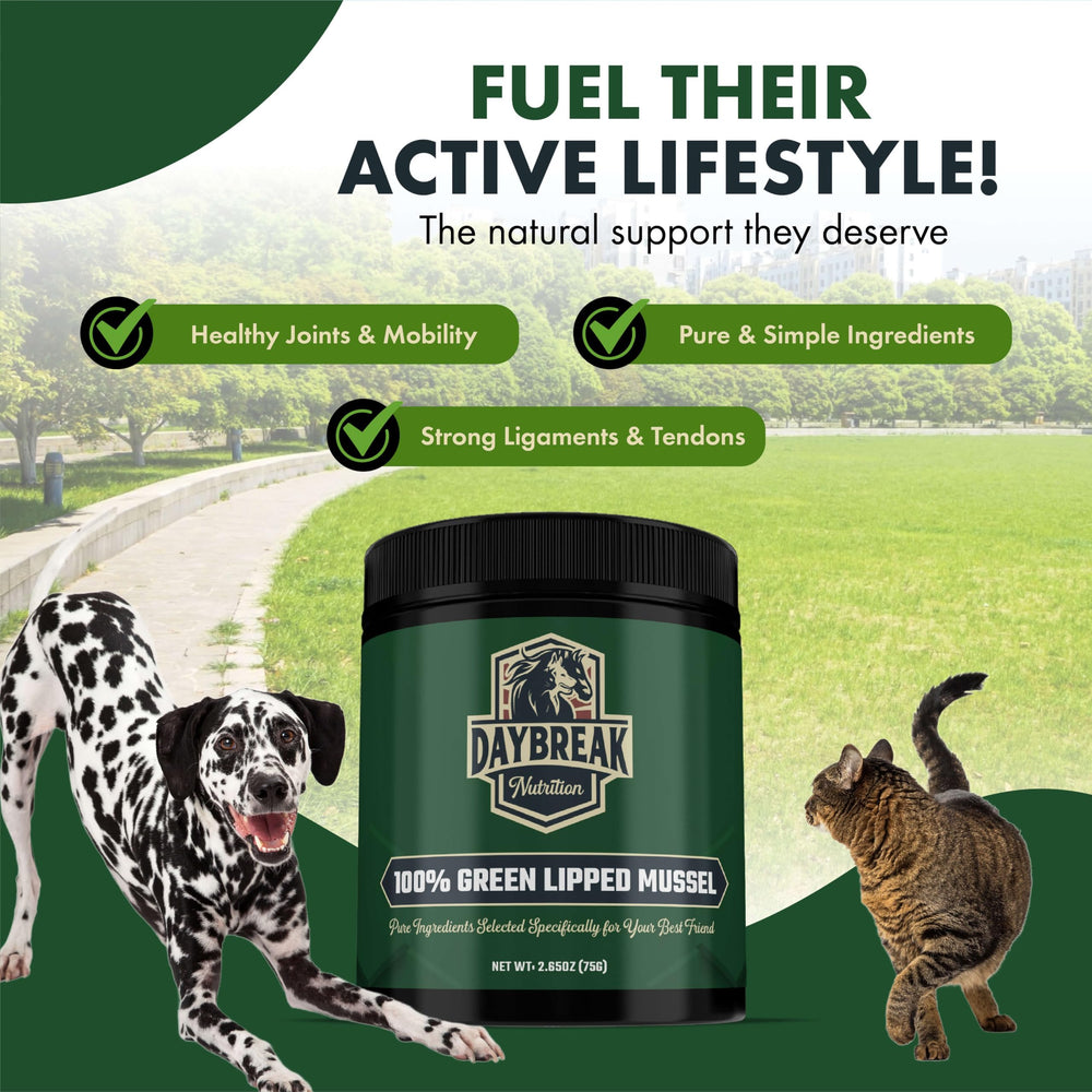 Daybreak Nutrition etiqueta nutricional enfocada, transparencia de ingredientes