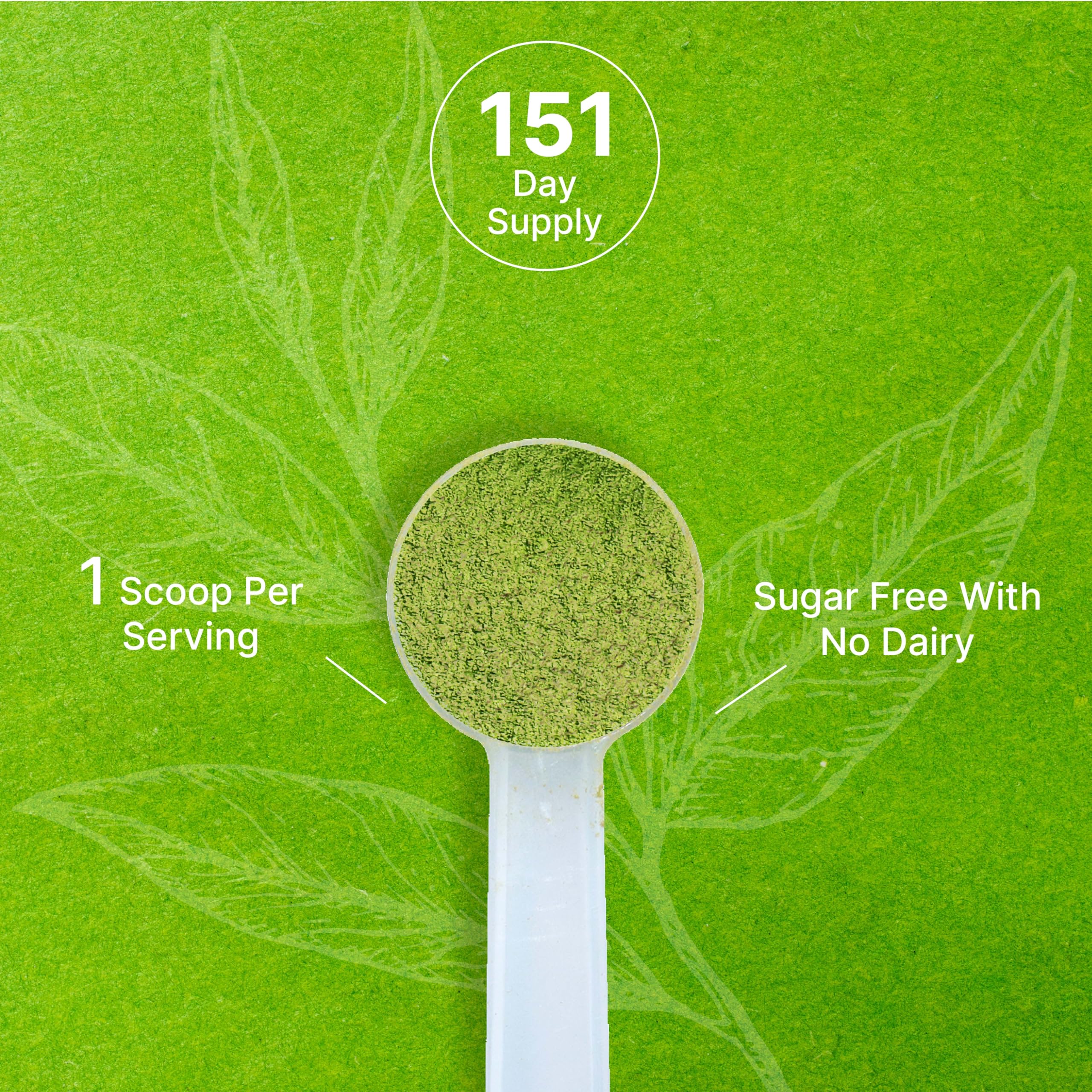 DEAL SUPPLEMENT batido verde con matcha como ingrediente nutritivo