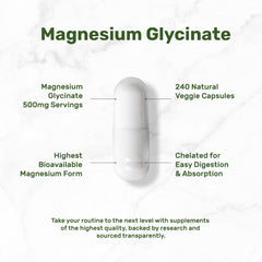 Deal Supplement textura del polvo de magnesio glicinato destacando pureza y absorción