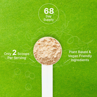 DEAL SUPPLEMENT polvo integrado en masa de muffins, aumenta proteínas en repostería