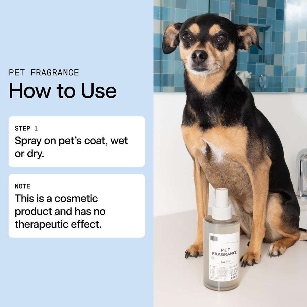 Perro recibiendo spray DedCool 01 Taunt para frescura inmediata