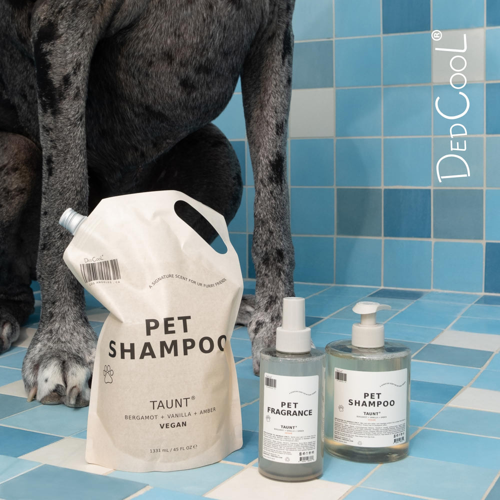 Ambiente hogareño con DedCool dejando la casa y mascota frescas