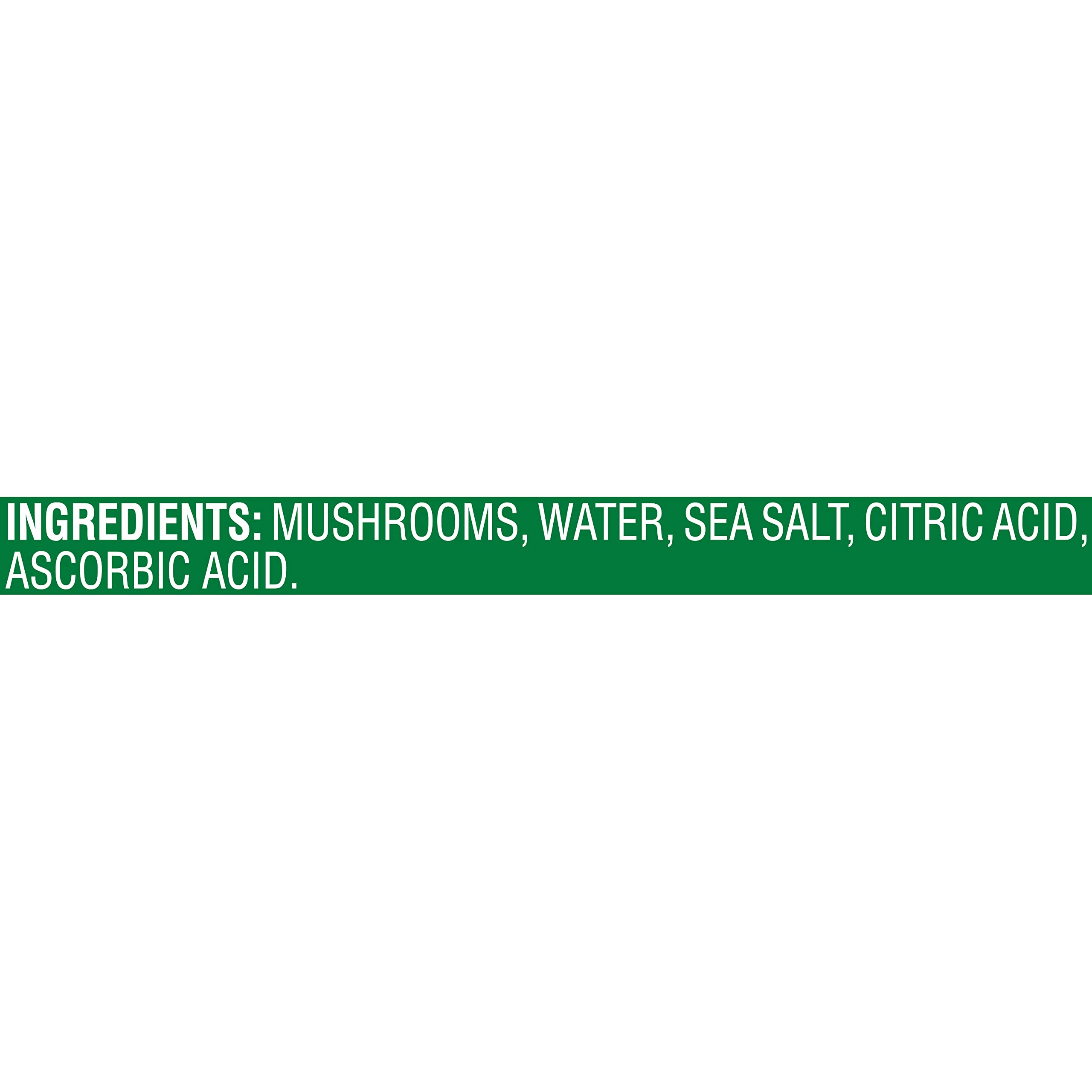 Del Monte primer plano de trozos y tallos, textura lista para cocinar