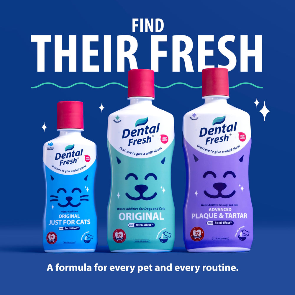 Dental Fresh gato y perro juntos en cocina, solución fácil para hogares con varias mascotas