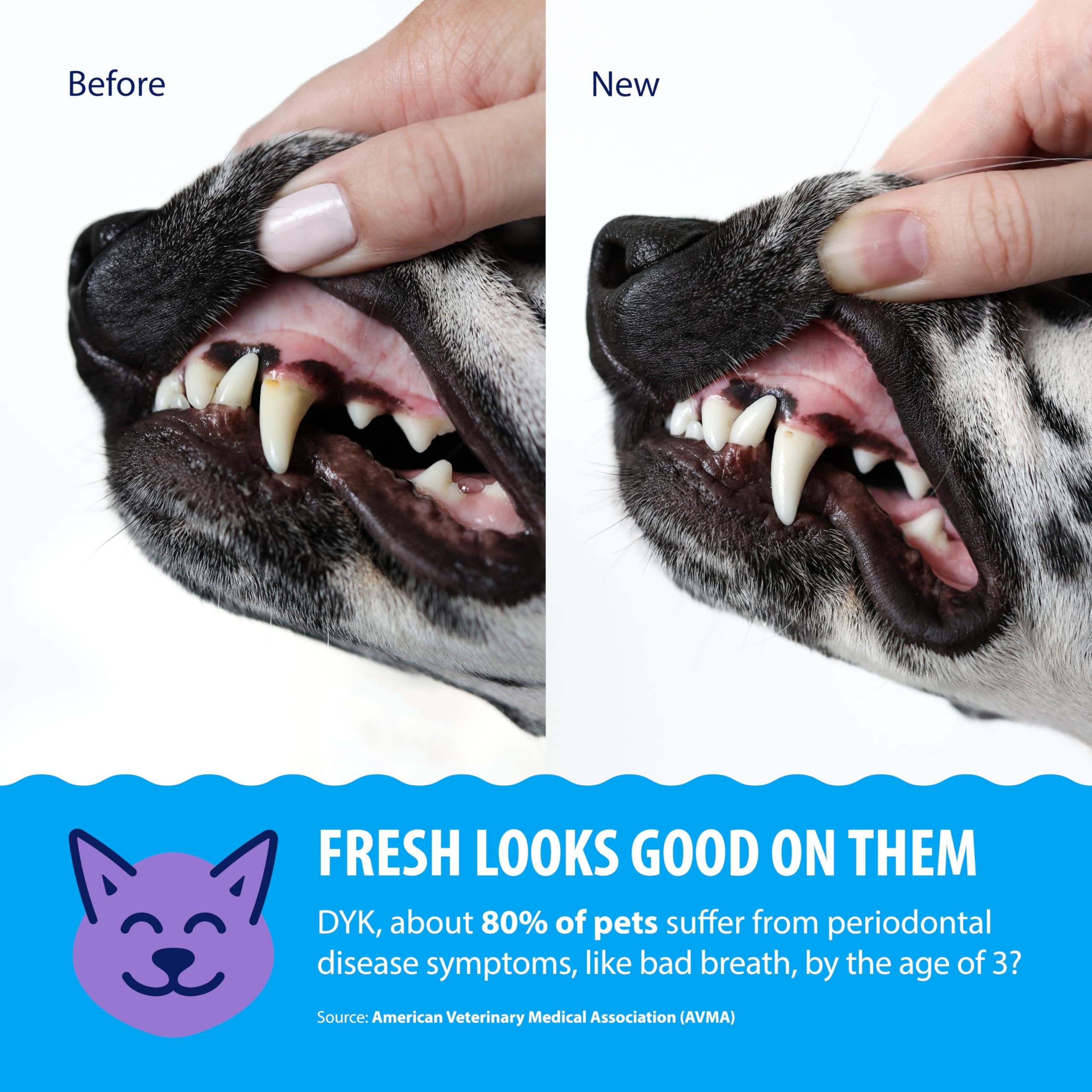 Dental Fresh mascota bebiendo agua tratada, promueve aliento más fresco