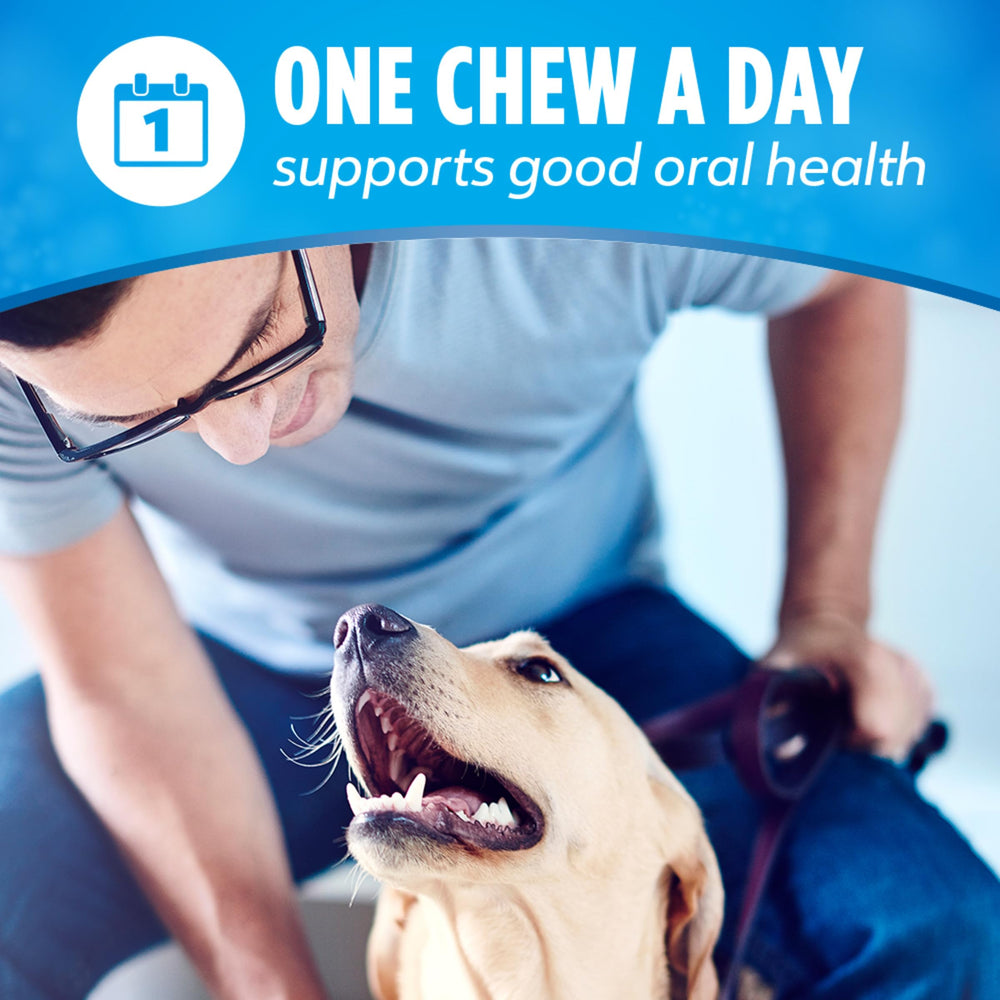 Comparación de tamaño DentaLife en mano humana, adecuado para perros pequeños/medianos
