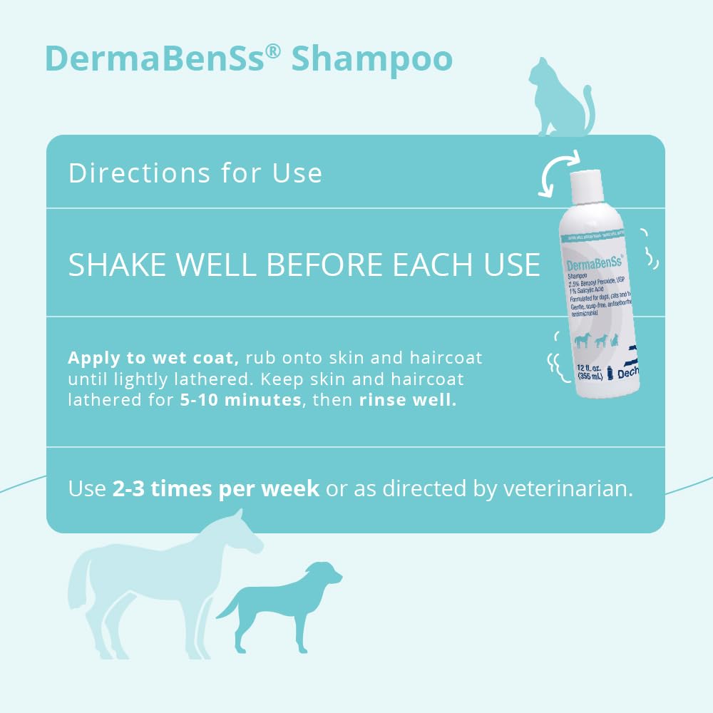 DermaBenSs champú en uso durante baño de perro para control de sebo