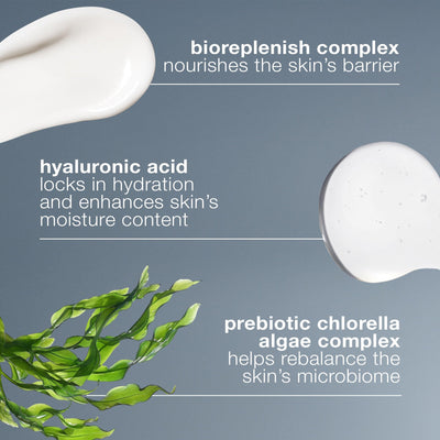 Dermalogica tarro abierto mostrando la consistencia rica y cremosa