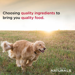 Diamond Naturals ingredient label detailing salmon-first recipe