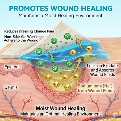 Dimora pad forming gel to contain exudate and maintain moisture