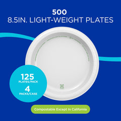 Dixie Basic plato vista superior blanco listo para servir y presentar alimentos