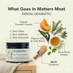 Dogbiotics DE-01 junto a una cuchara para comparar tamaño y dosis exacta