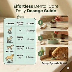 Dogbiotics DE-01 espolvoreado en el plato, Dogbiotics facilita la administración diaria