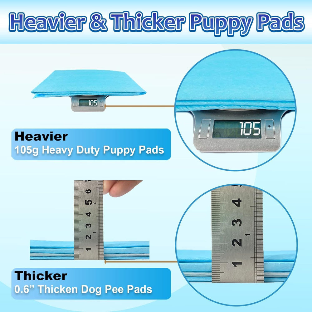 Dogcator capa inferior impermeable protege suelos y evita fugas
