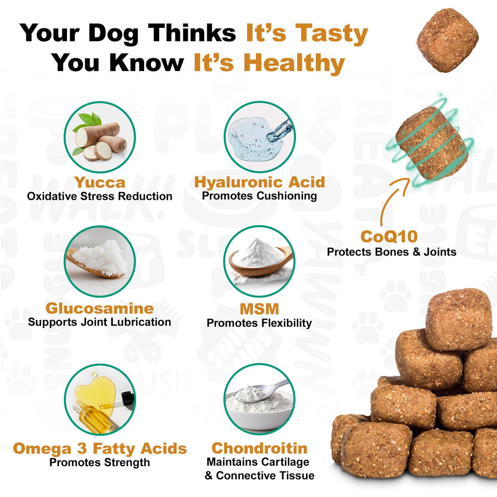 Doggie Dailies chew en mano para comparar tamaño y dosificación precisa