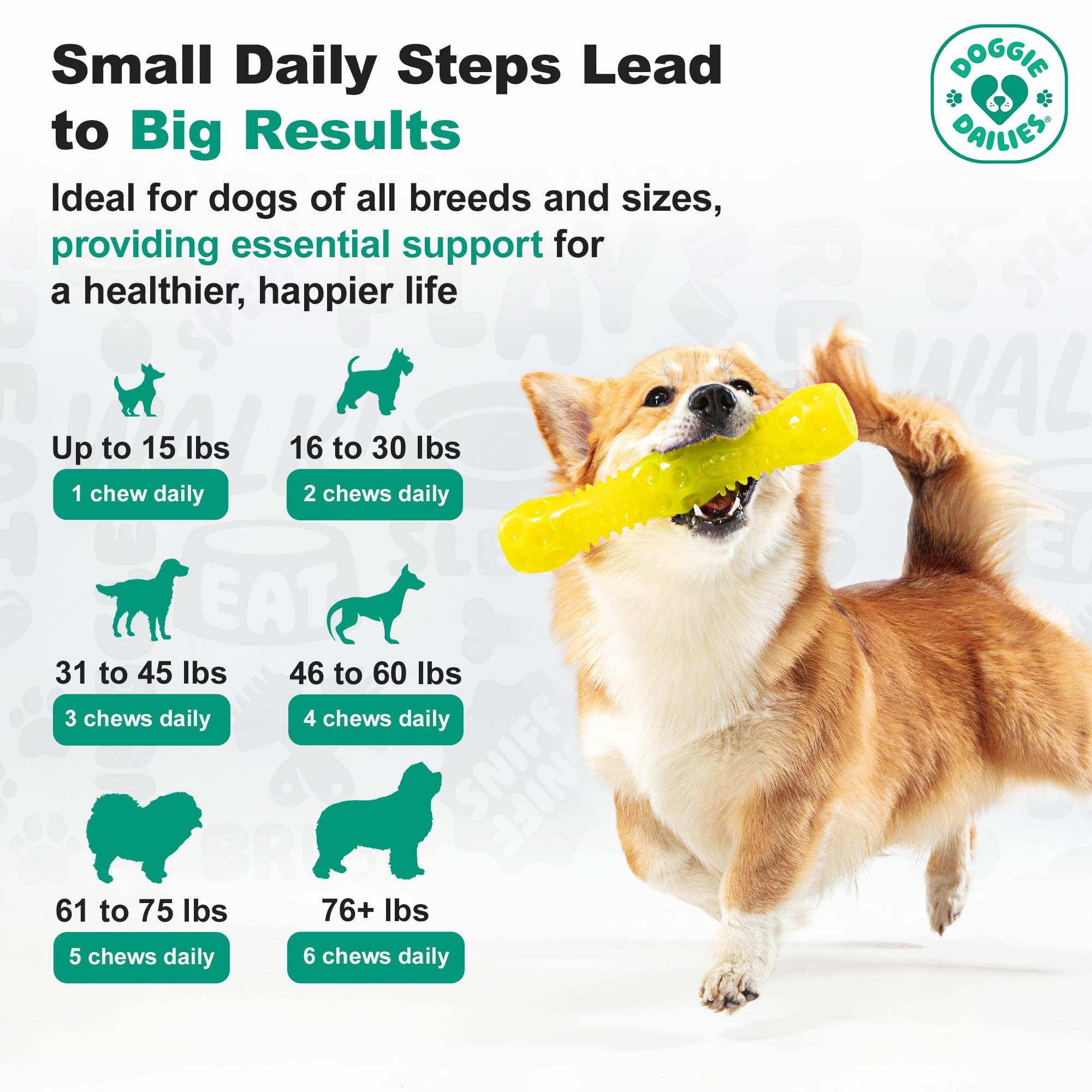 Doggie Dailies masticable primer plano textura apetecible y fácil administrar