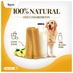 Yak chew Dogsee en mano para comparar tamaño ideal para perros medianos