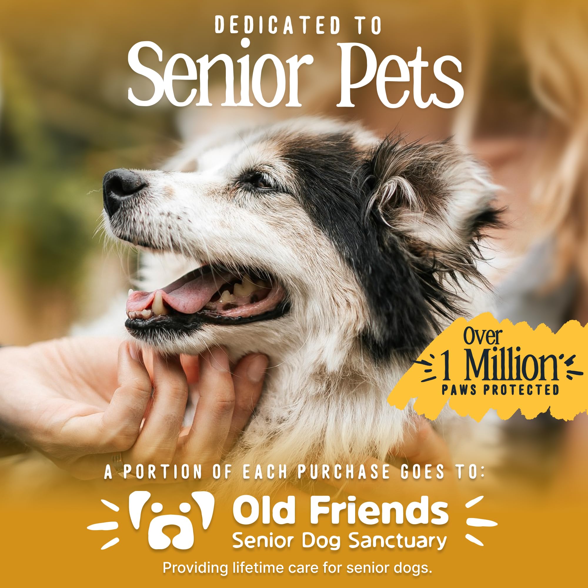 DOK TigerToes pata protegida sobre pavimento caliente, reduce riesgo de quemaduras