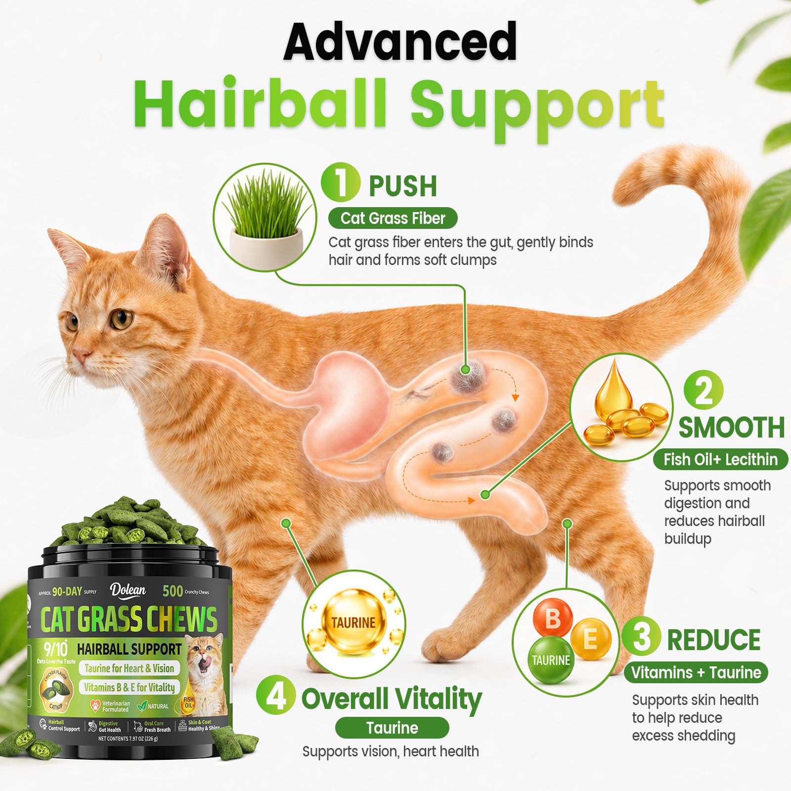Cat chewing Dolean treat, brand showing improved chewing and engagement