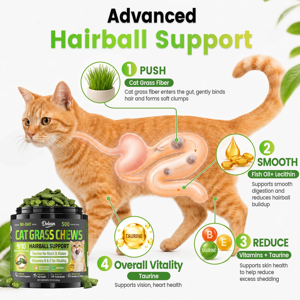 Cat chewing Dolean treat, brand showing improved chewing and engagement