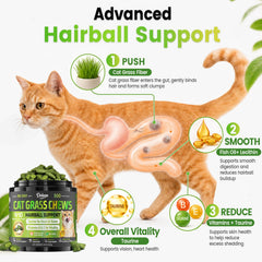 Cat chewing Dolean treat, brand showing improved chewing and engagement