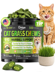 Dolean front packaging showing jar and 500 chews, easy storage benefit