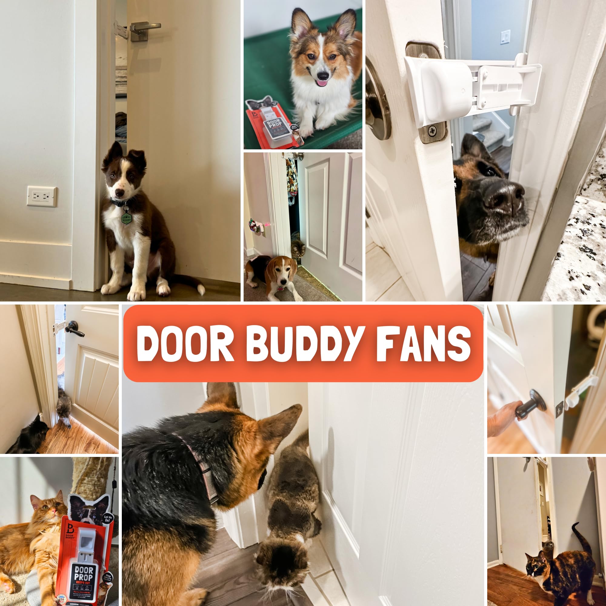 Door Buddy colocado en baño con caja de arena, solución limpia y portátil