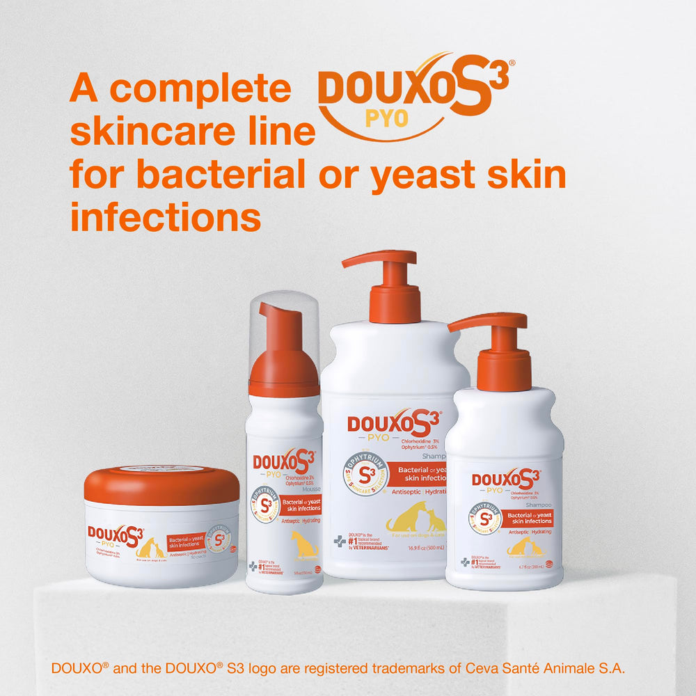 Douxo paquete con mousse y wipes para rutina de higiene completa