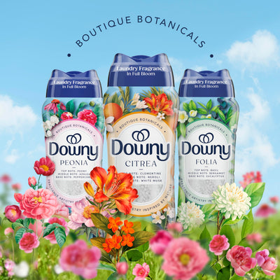Downy ambiente de lavandería con flores, transmite experiencia botánica