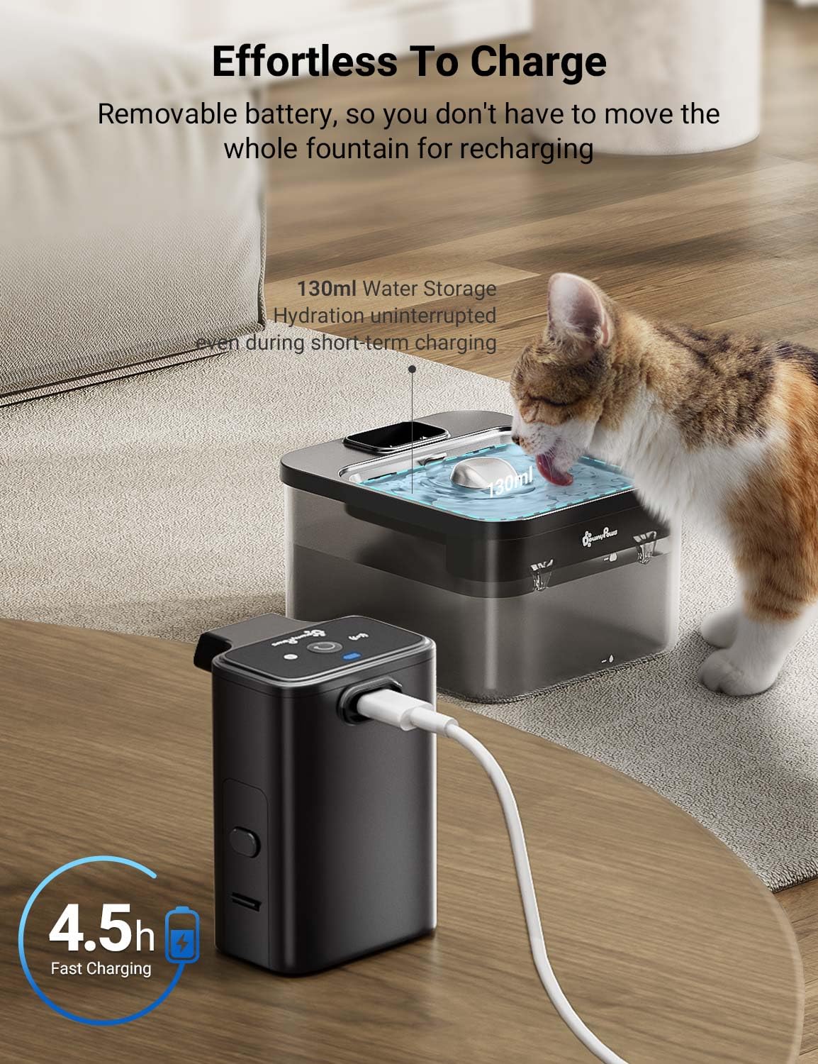 DownyPaws comparación de tamaño 2.5L mostrando capacidad práctica para varias mascotas