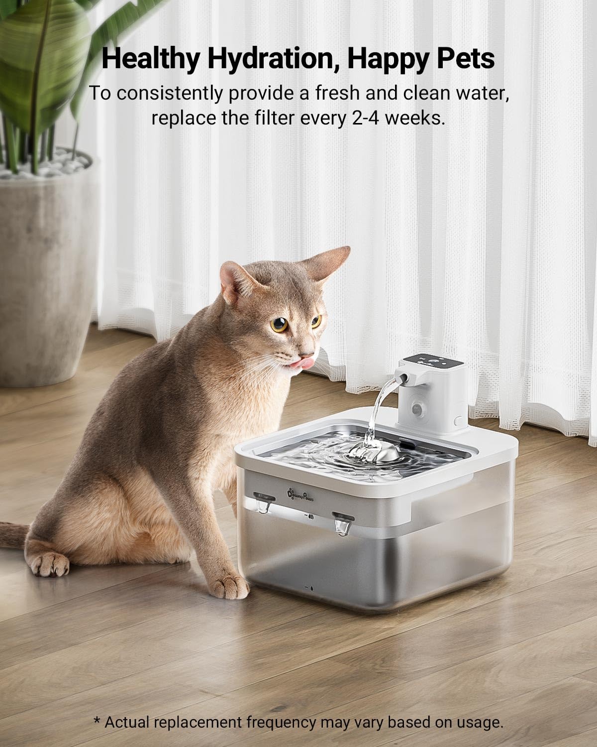 DownyPaws comparación de tamaño con mano para ver escala y ajuste fácil