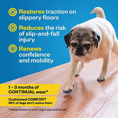 Dog wearing Dr. Buzby's ToeGrips walking confidently across hardwood for safer steps