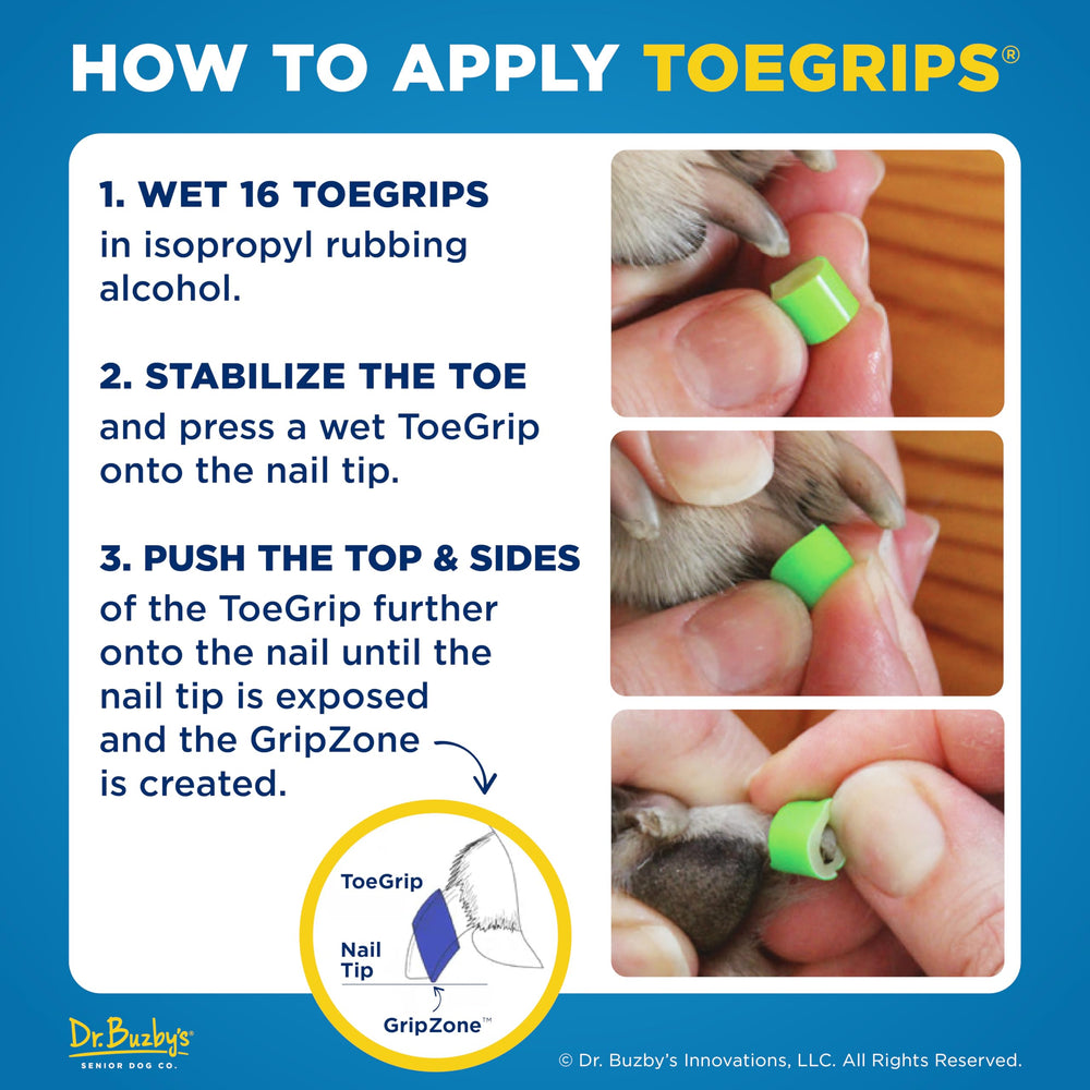 Dr. Buzby's ToeGrip next to a coin demonstrating size for accurate fit