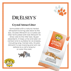Dr. Elsey's primeros planos de cristales de sílice que muestran textura absorbente