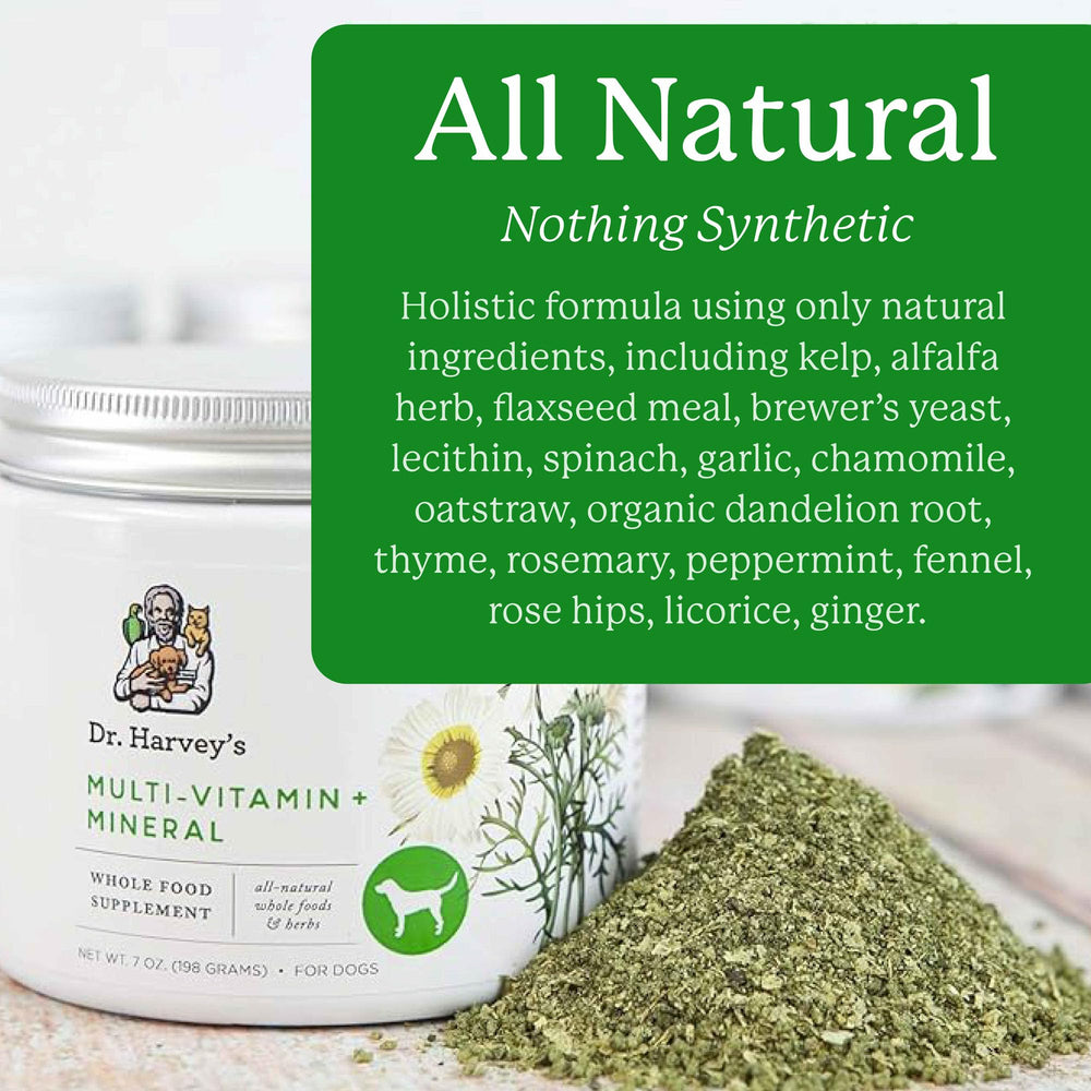 Dr. Harvey's vista cercana del polvo herbal mostrando textura fina nutritiva
