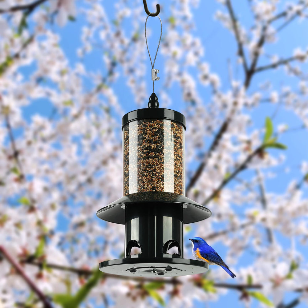 Dreamdrawer lifestyle garden setting with birds feeding and tidy ground beneath