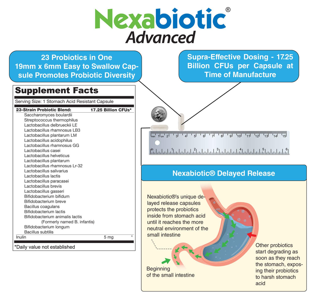 DrFormulas Nexabiotic capsules in hand demonstrating small easy-to-swallow size
