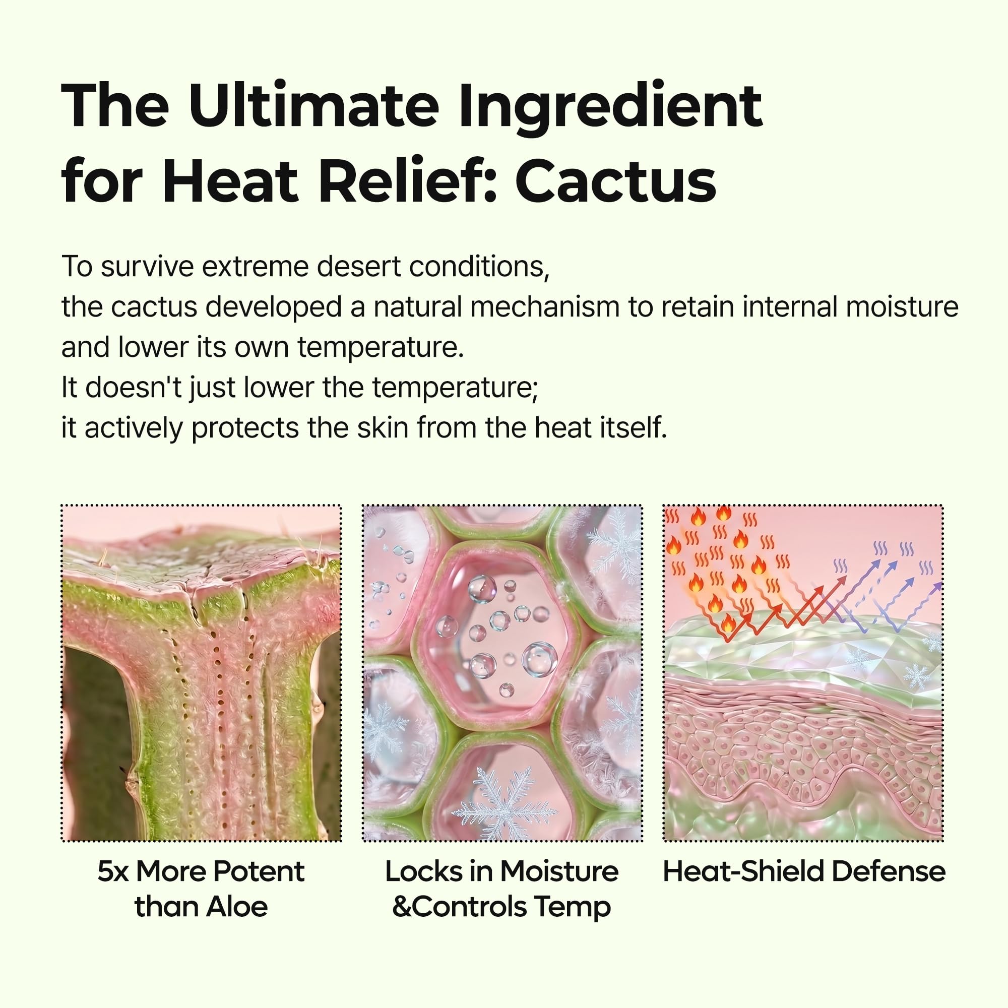 Dr.Melaxin etiqueta con ingredientes clave como Zinc PCA y adenosina