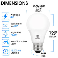 E ENERGETIC LIGHTING detalle de bombilla frosted para luz uniforme